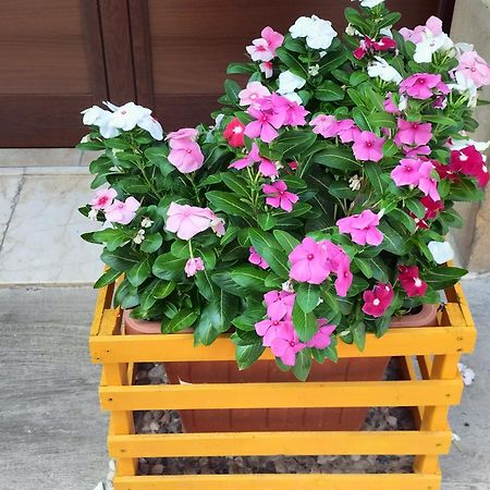 La Casa Di Anita Nel Cuore Di Segesta Calatafimi Δωμάτιο φωτογραφία